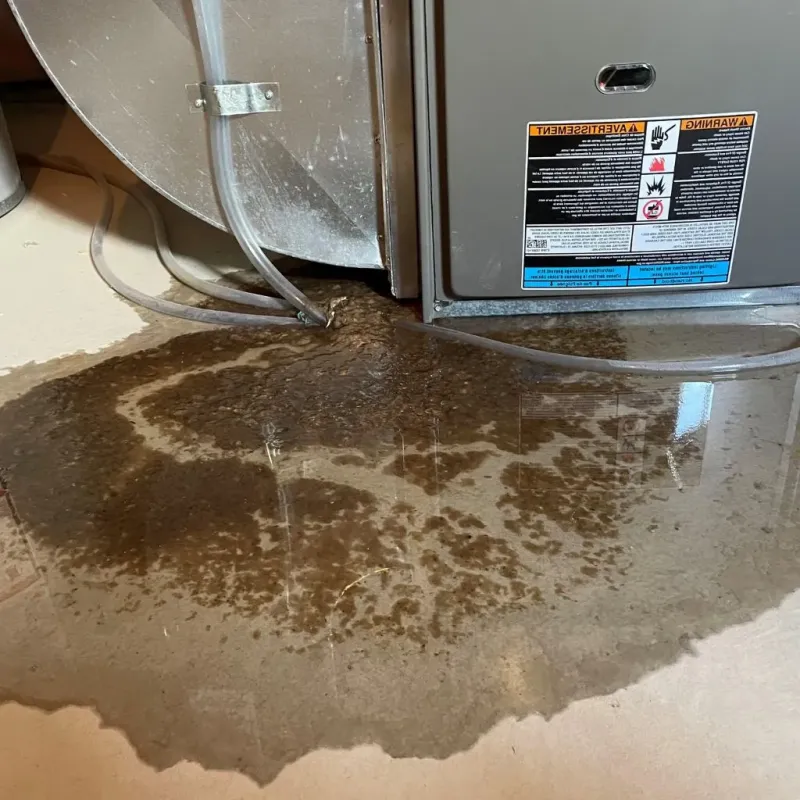 Pipe Burst and Leak Restoration in Meigs County, TN