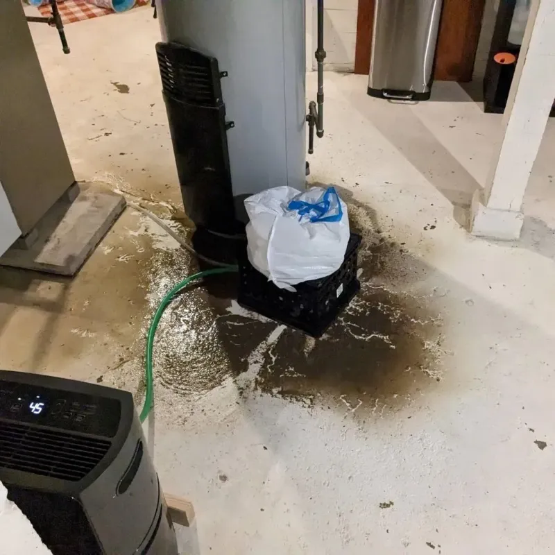 Sewage Backup Cleanup Service in Meigs County, TN